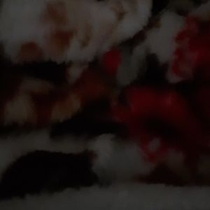 Meet your Posher, Isabella